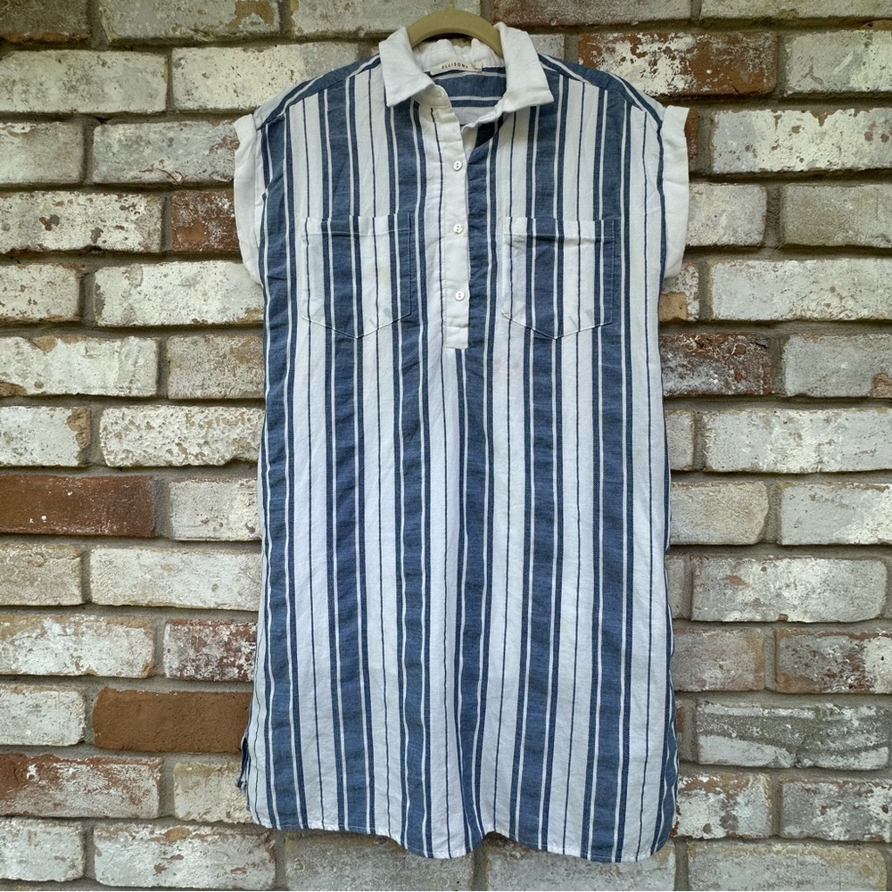 Ellison Striped Blue and White Lined Dress